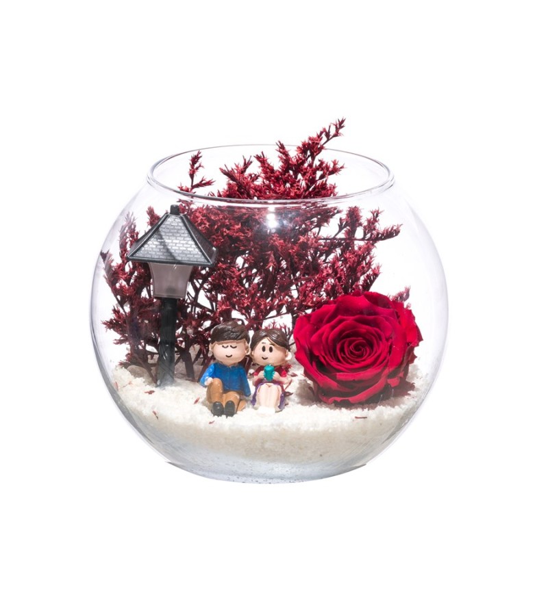 Teraryum Solmayan Gül Işıklı Aşk Bahçemiz